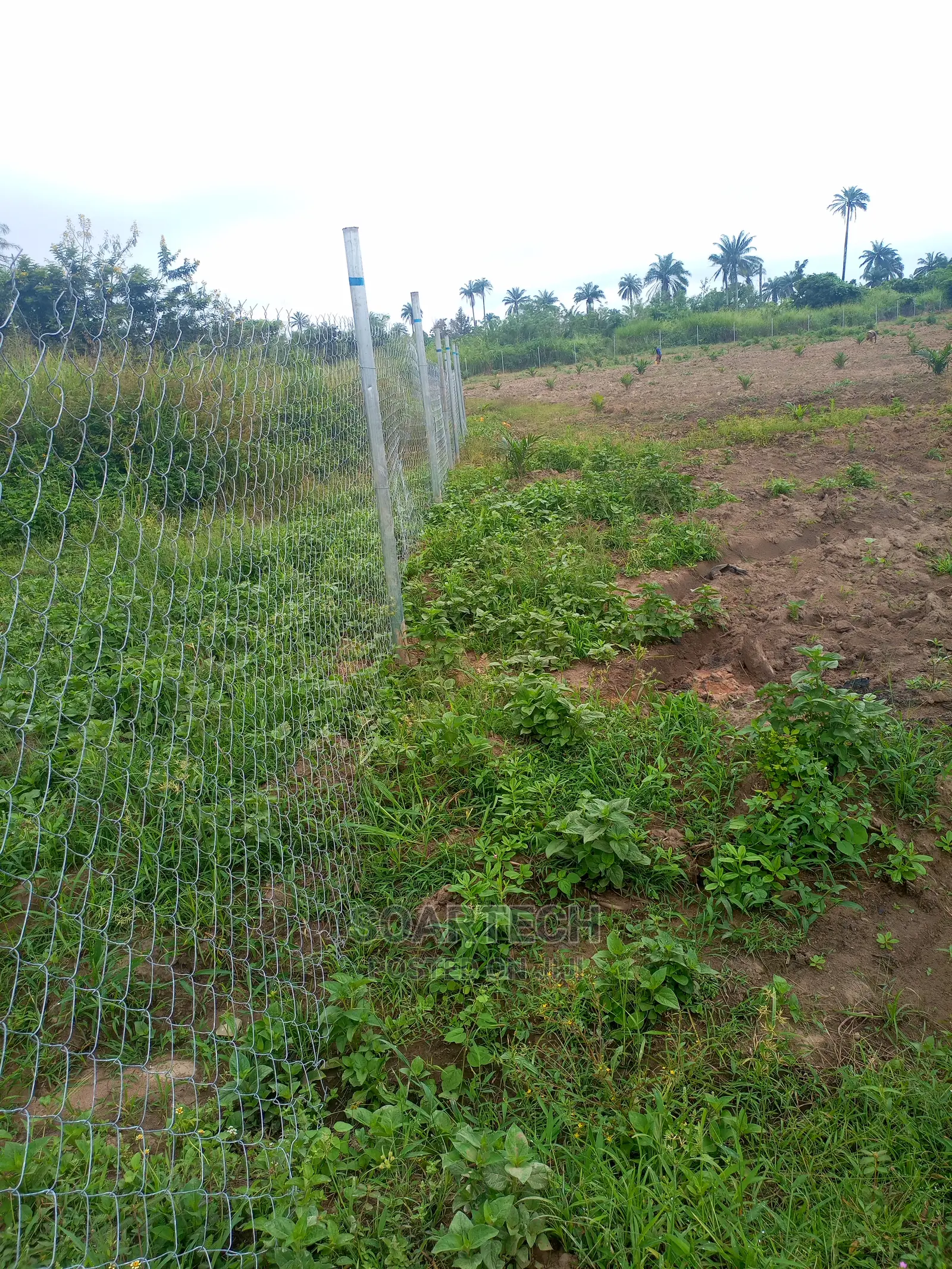 Protect Your Land Against Encrochment
