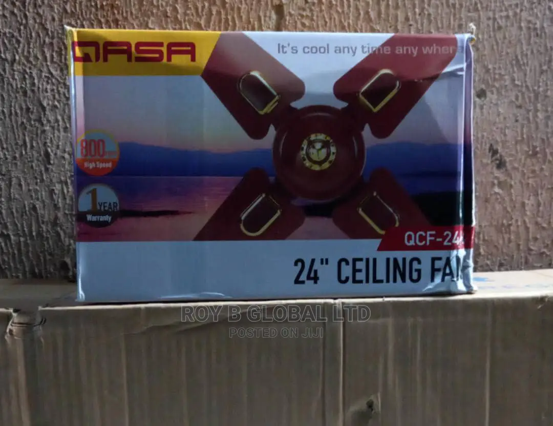 Qasa 24" Ceiling Fan