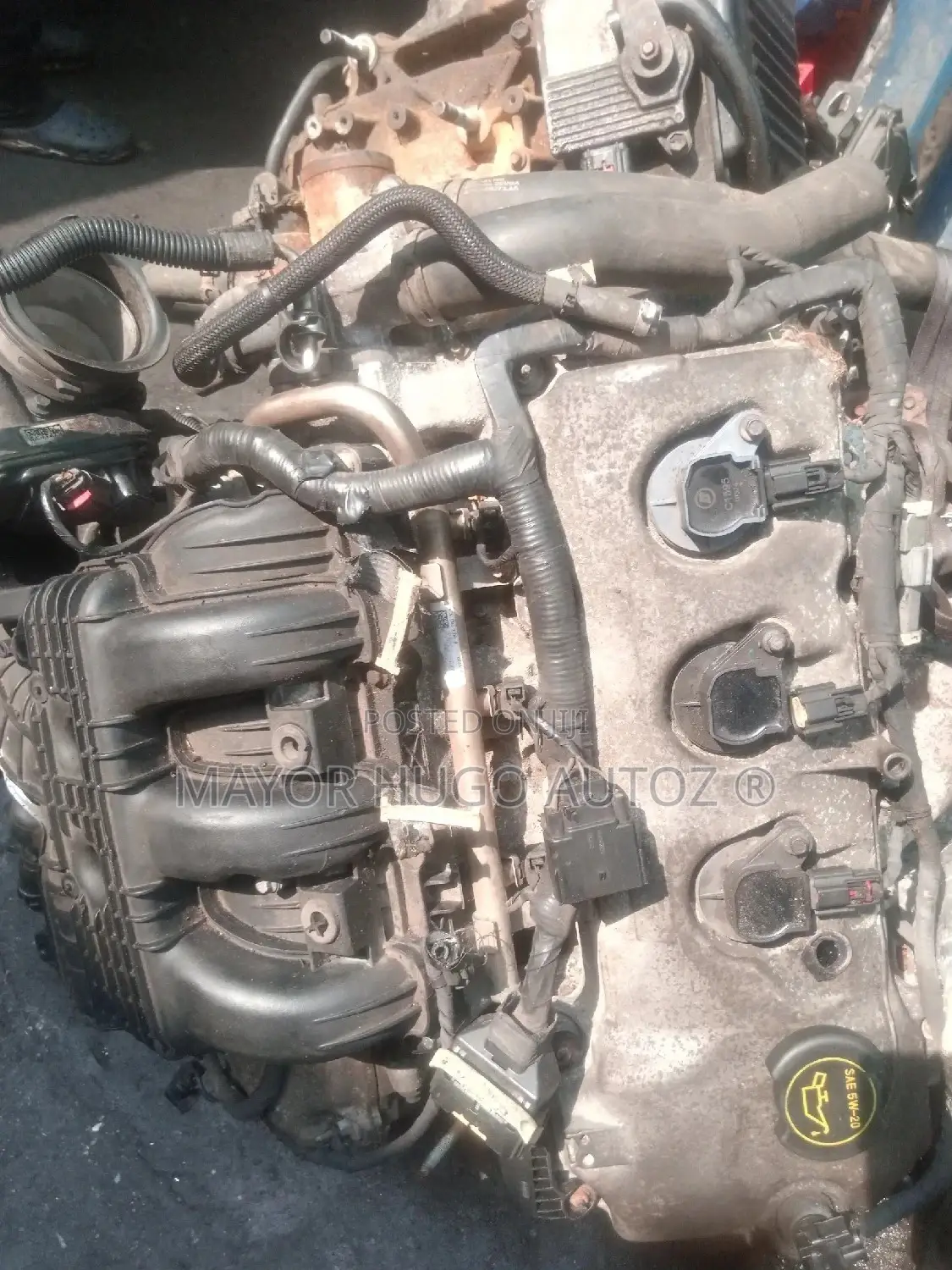 Ford Edge 2009