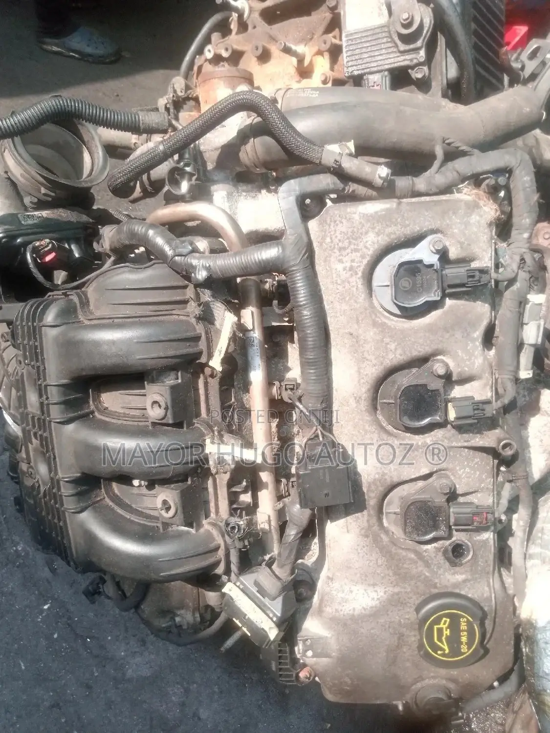 Ford Edge 2009