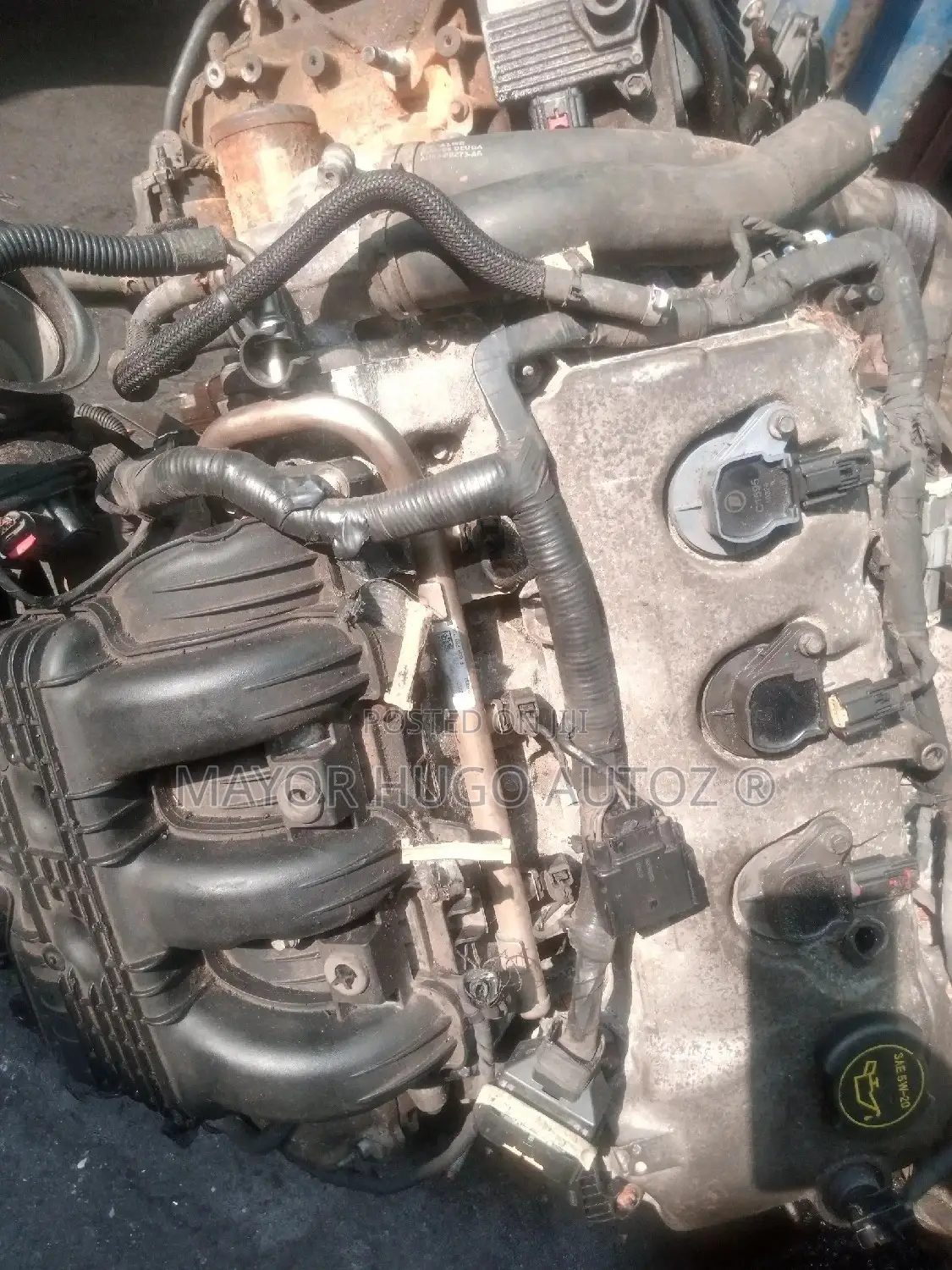 Ford Edge 2009
