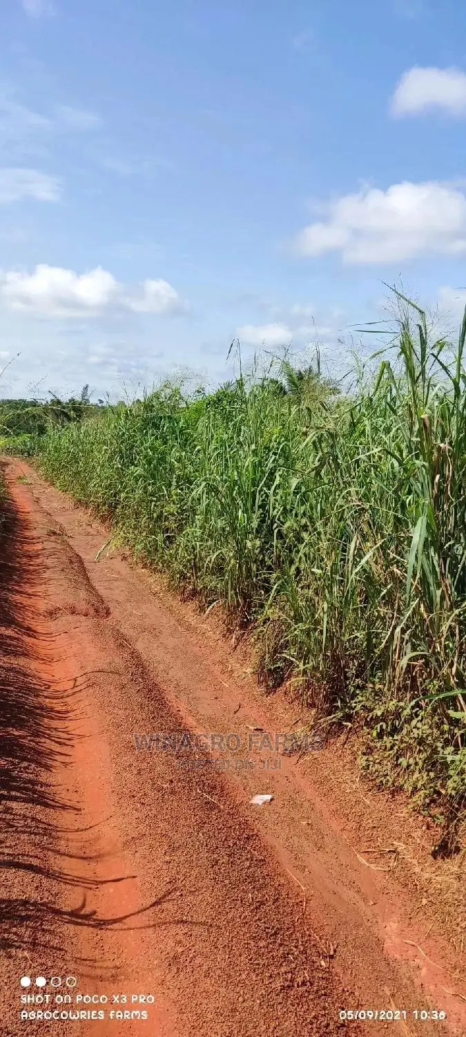 Cheapest Farm Land Dey Ogun State