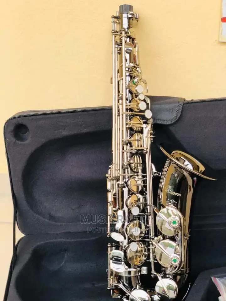 Gipson Silver and Black Alto Saxophone