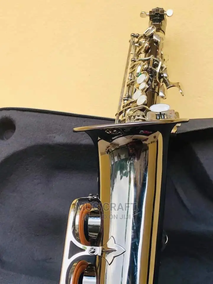 Gipson Silver and Black Alto Saxophone