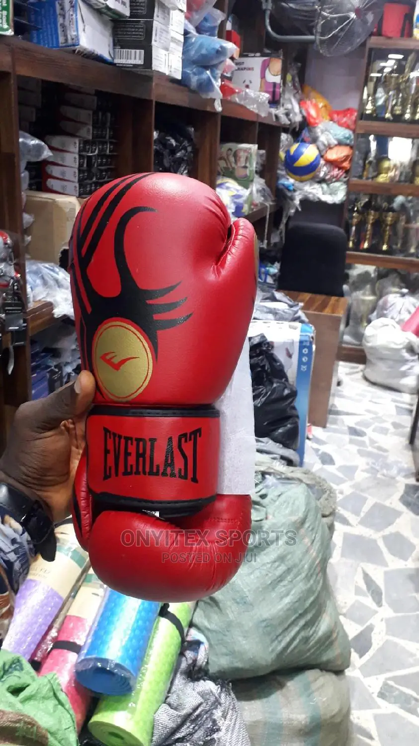 Everlast Punching Gloves