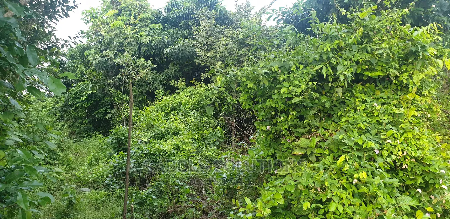 Hectares of Dryland for Sale at Epe