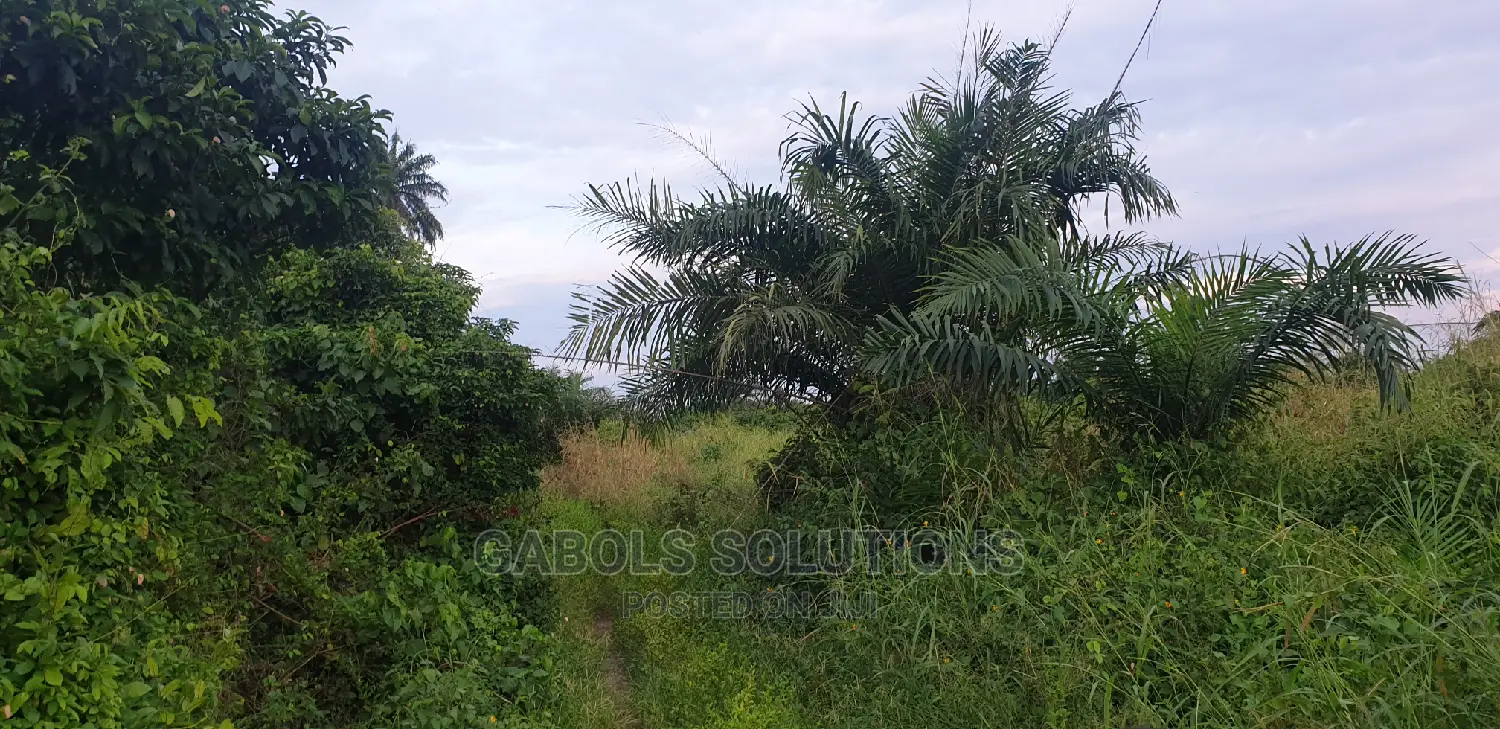 Hectares of Dryland for Sale at Epe