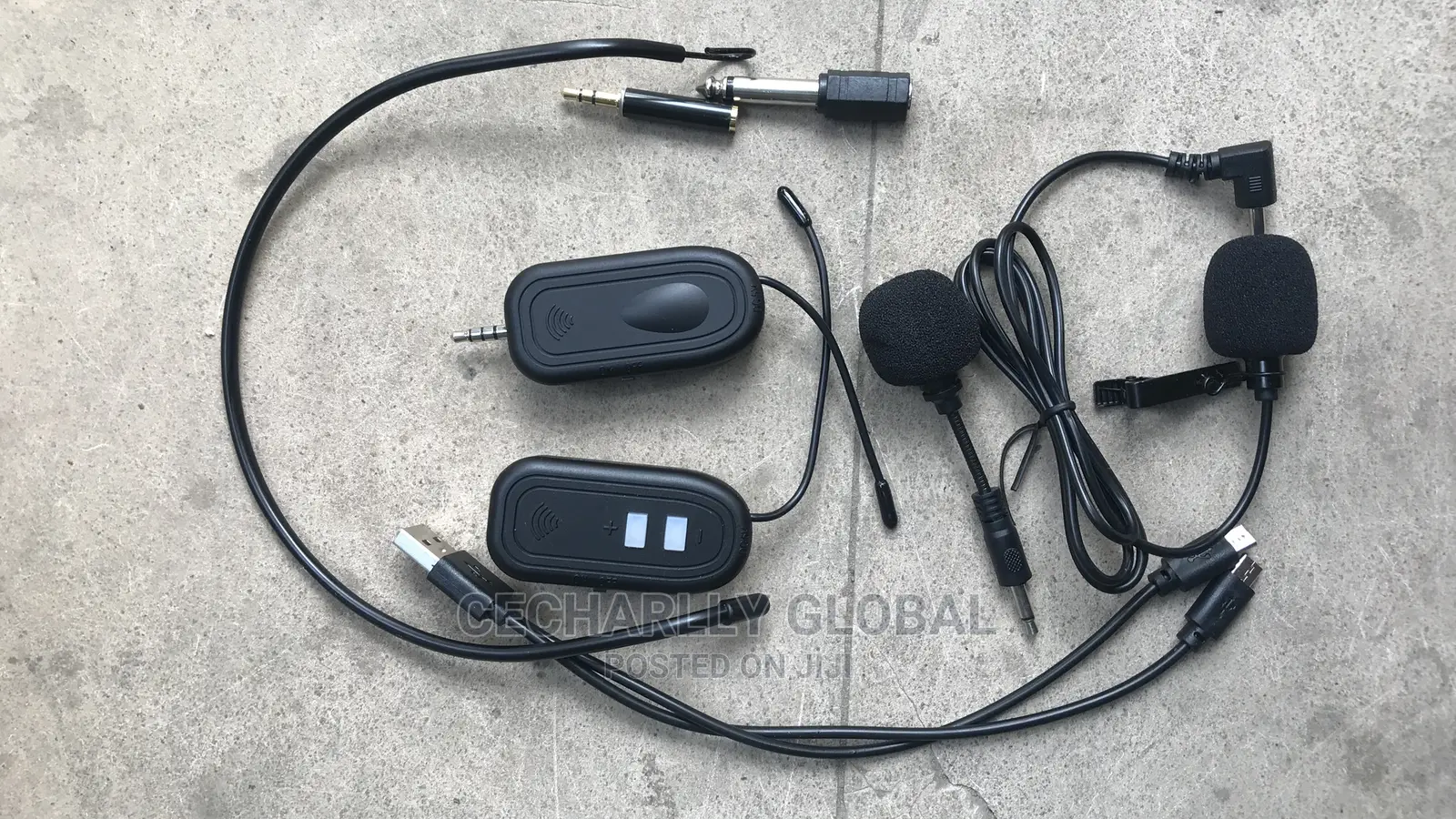 Professional Wireless Microphone