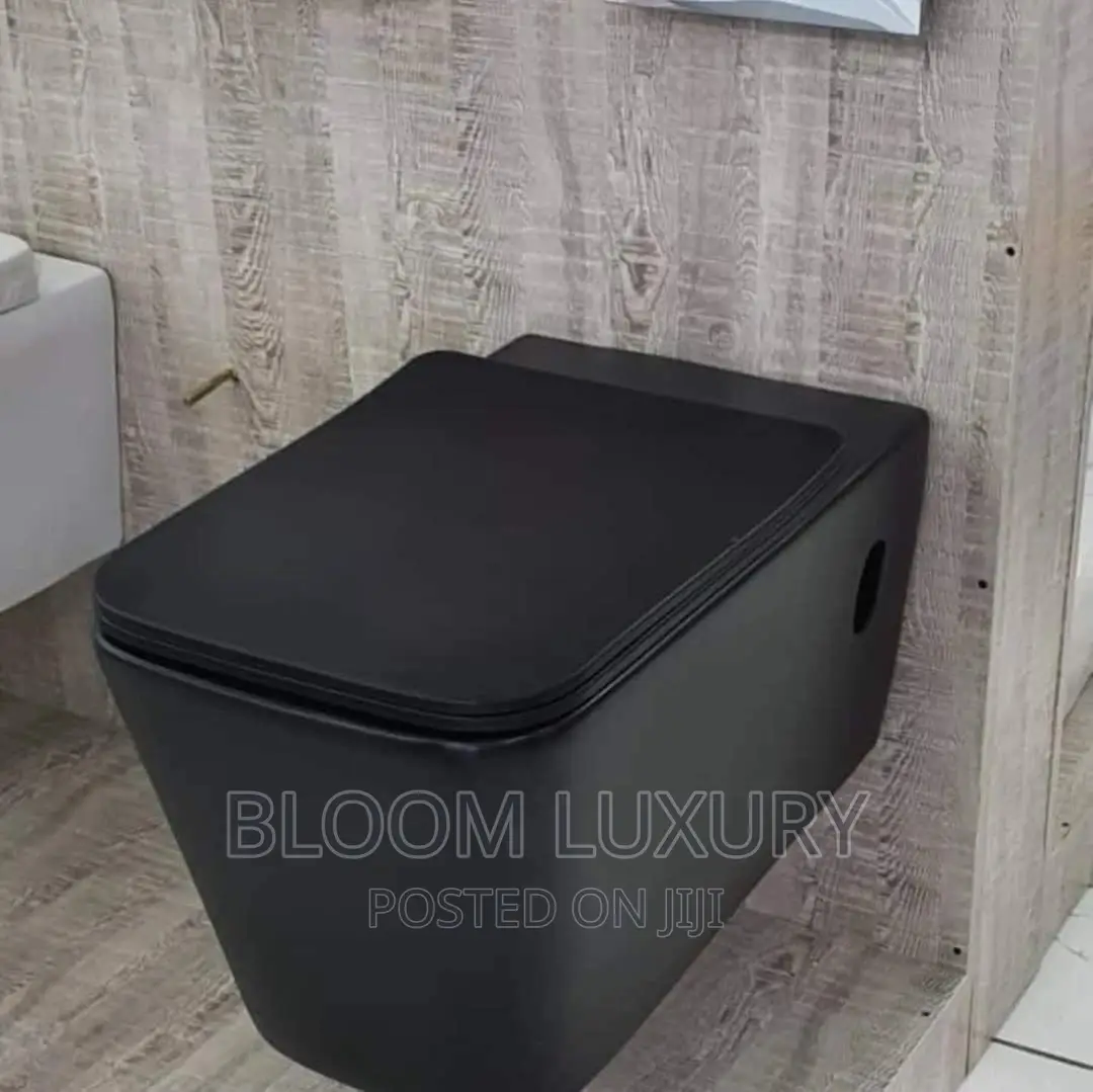 Black Conceal Toilet