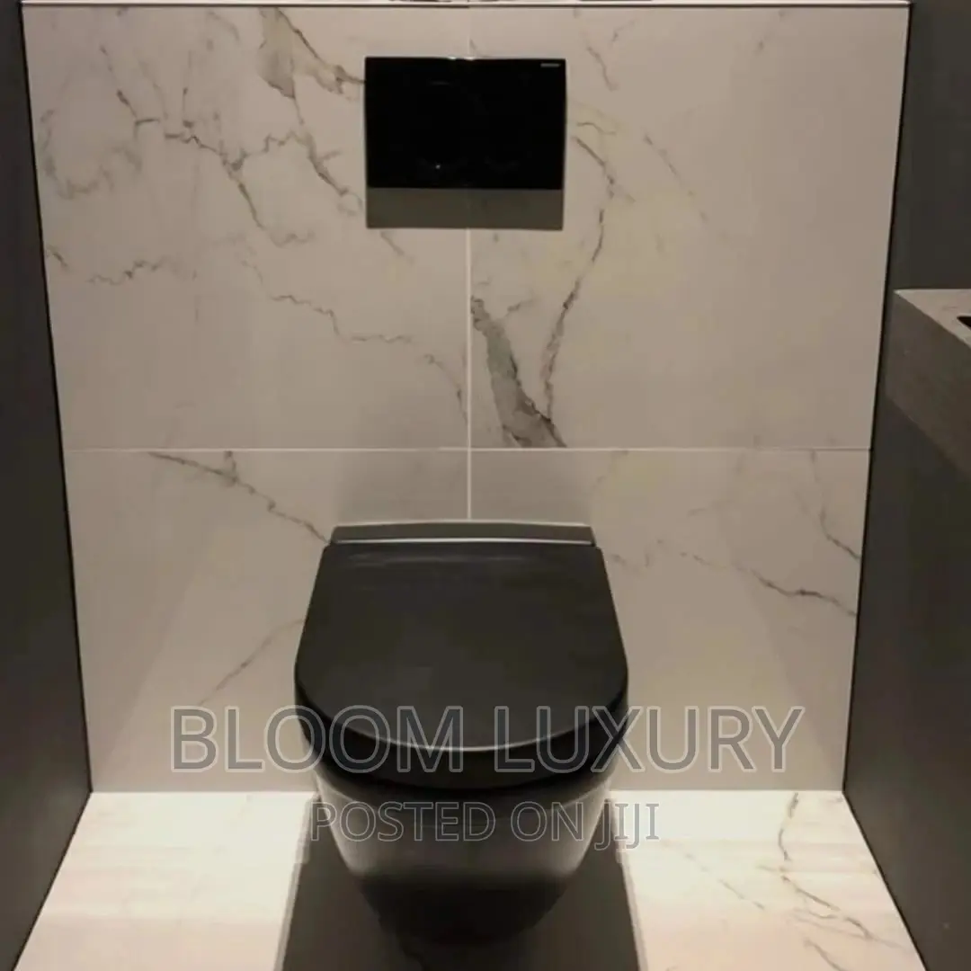 Black Conceal Toilet