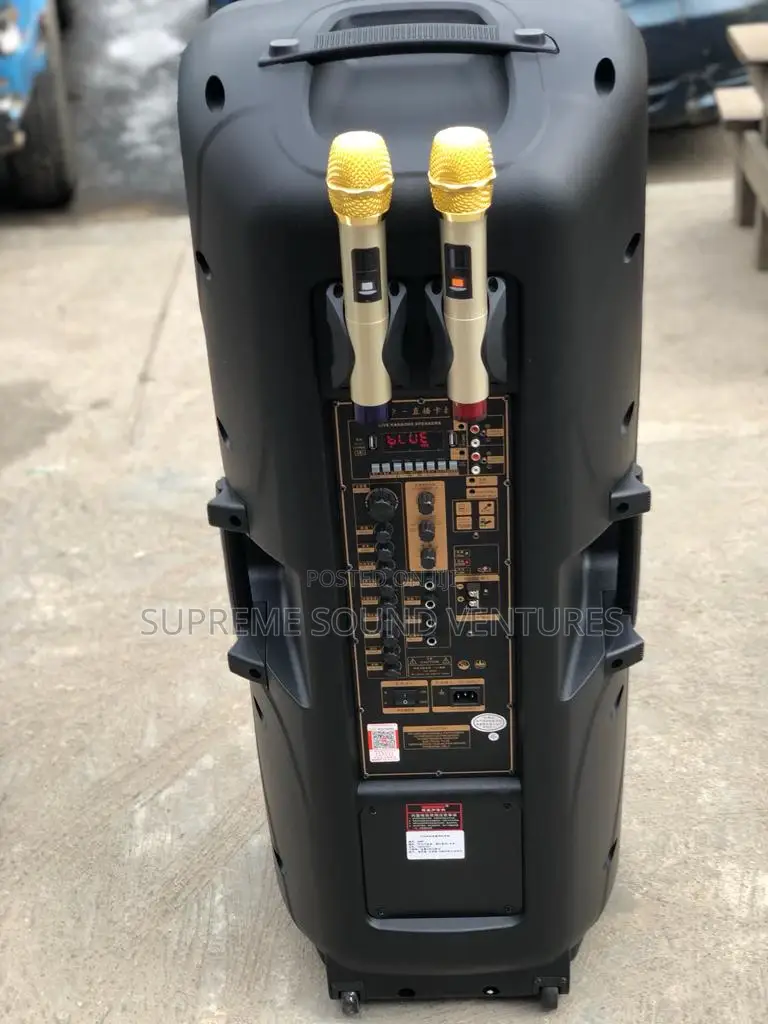 Quality 15 " Double Public Address System
