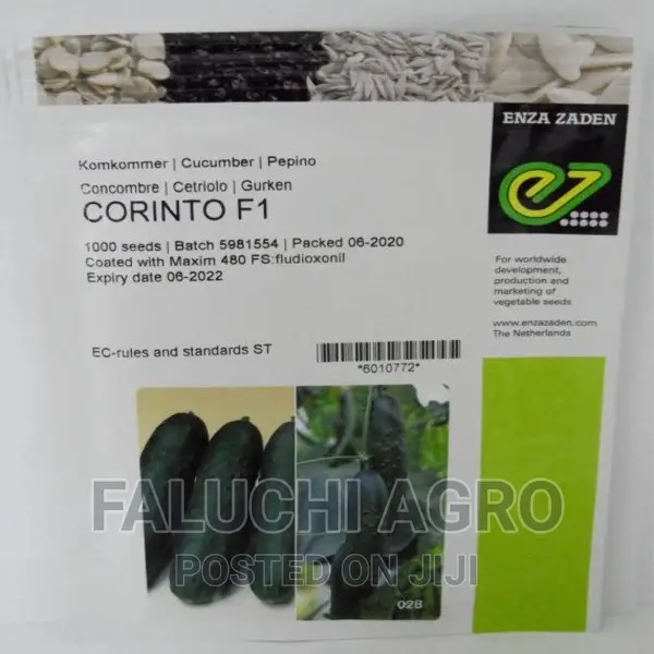 Cucumber Corinto F1 Slicer Seeds (Enza Zaden | 1,000 Seeds)