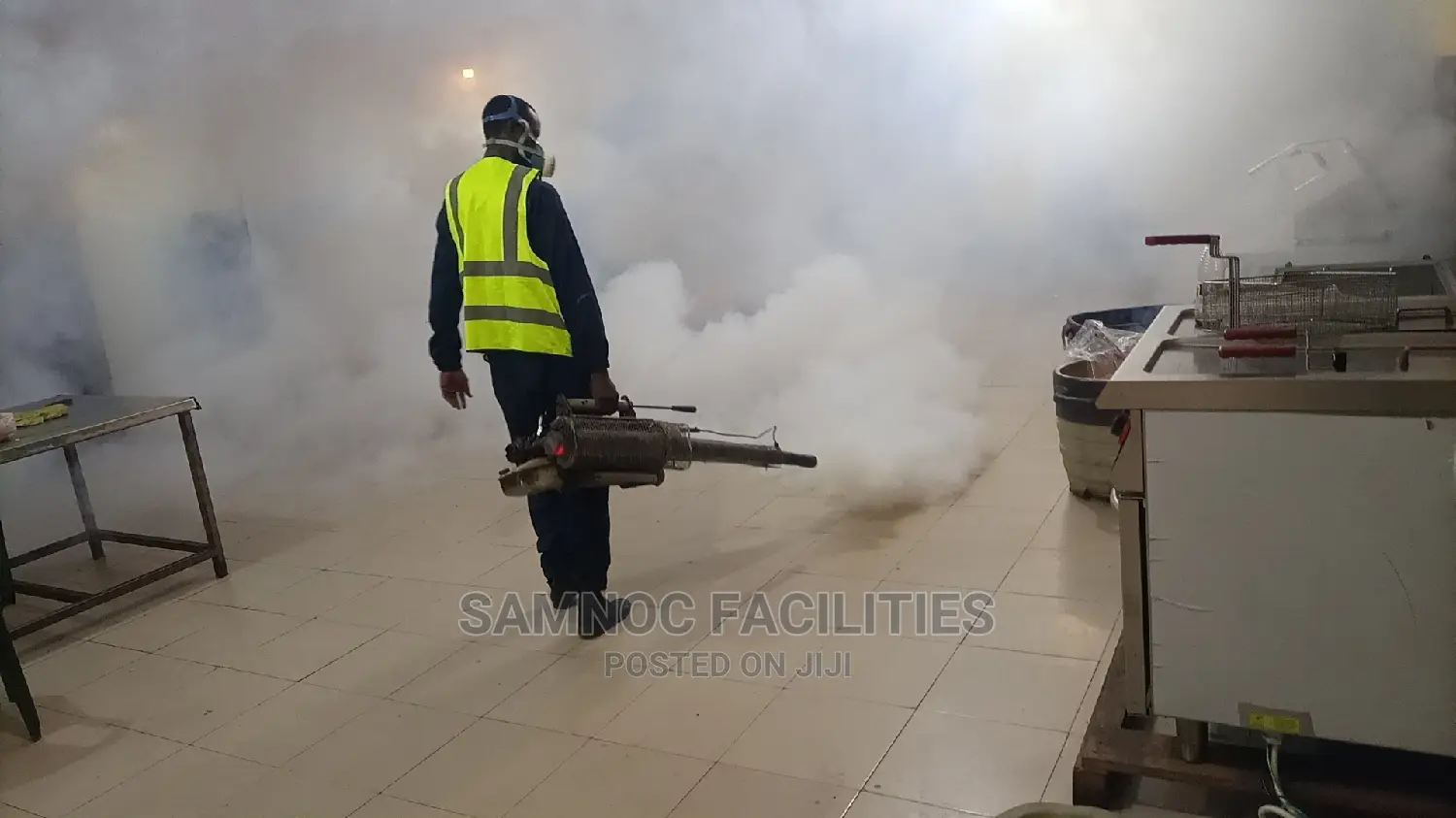 Fumigate Your Apartment Against Dangerous Pests