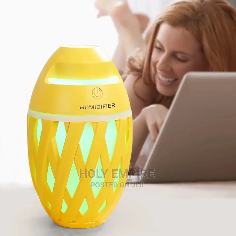 320ml Mini Air Humidifier USB Aroma Essential Oil