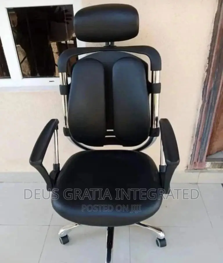 Ergonomic Orthopaedic Chair for Back and Waist Pain