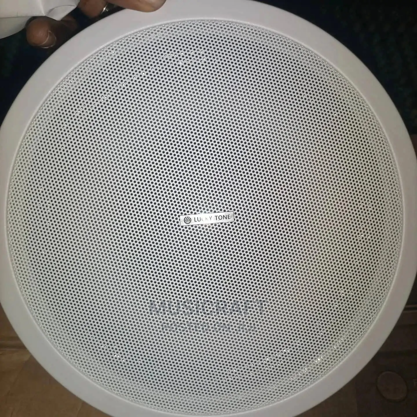 Lucky Pair of 15W Ceiling Speakers