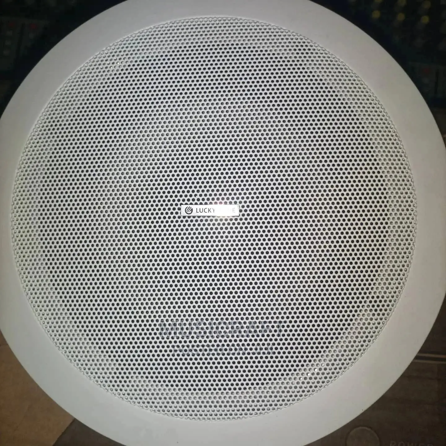 Lucky Pair of 15W Ceiling Speakers