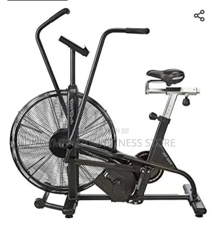 Commercial Assault Air Exercise Bike 5310