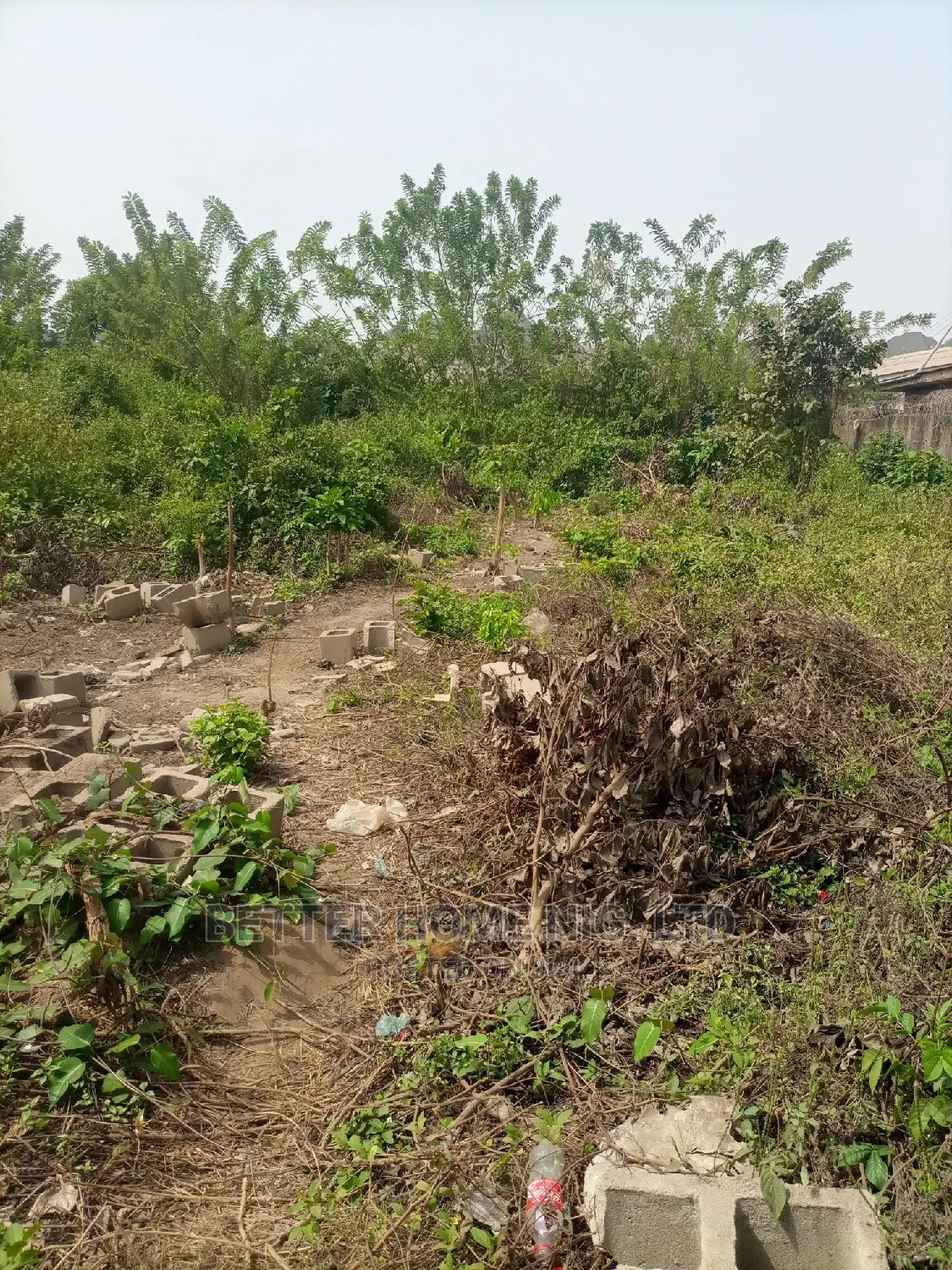 Certificate of Occupancy and Agreement
