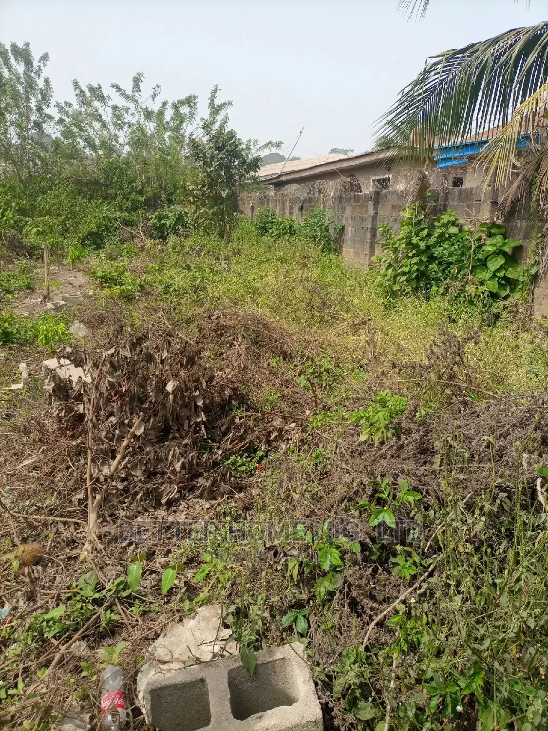 Certificate of Occupancy and Agreement