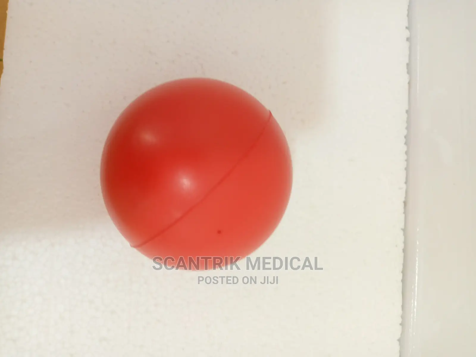 Gym Grade Exercise Ball