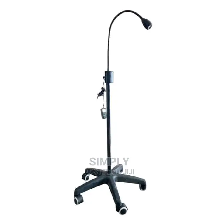 Examination Light