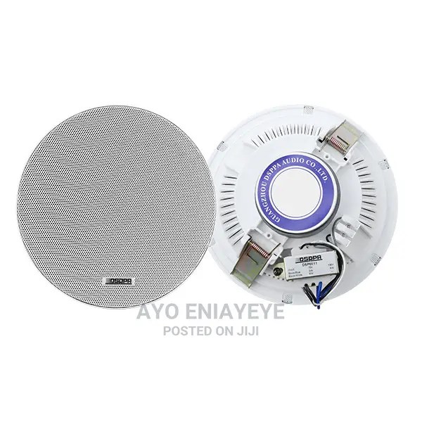 DSP Original Ceiling Speakers