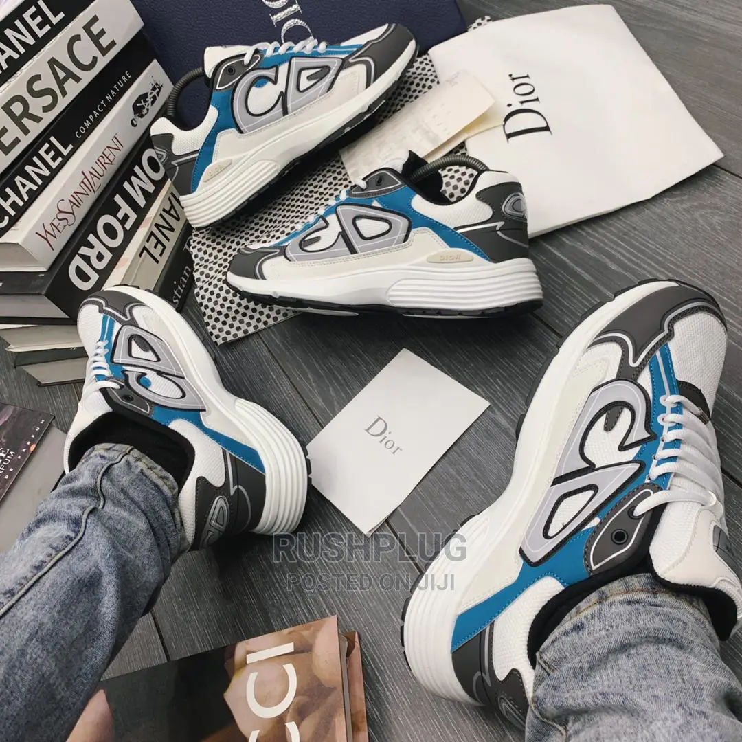 Reflective C-Dior(Cd) B30 /Blue Technical Sneakers