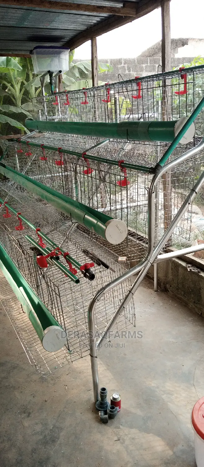 Derasaq Farms Battery Cage for Layers