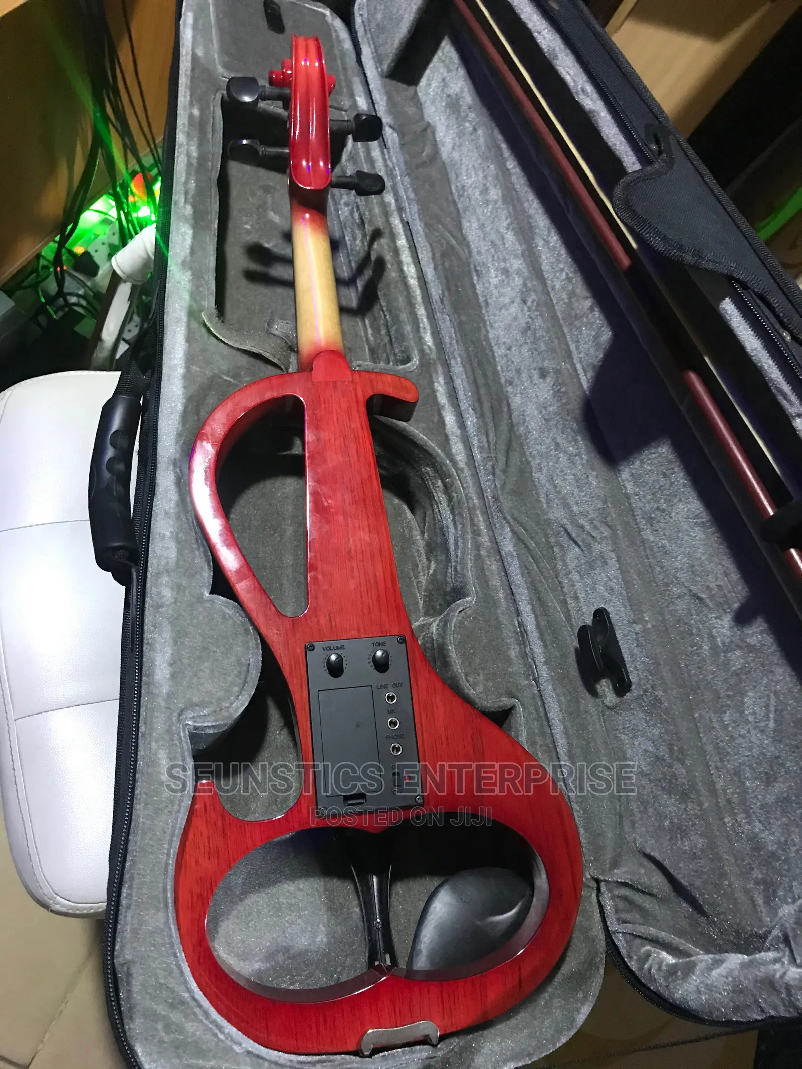 Professional Electric Violin