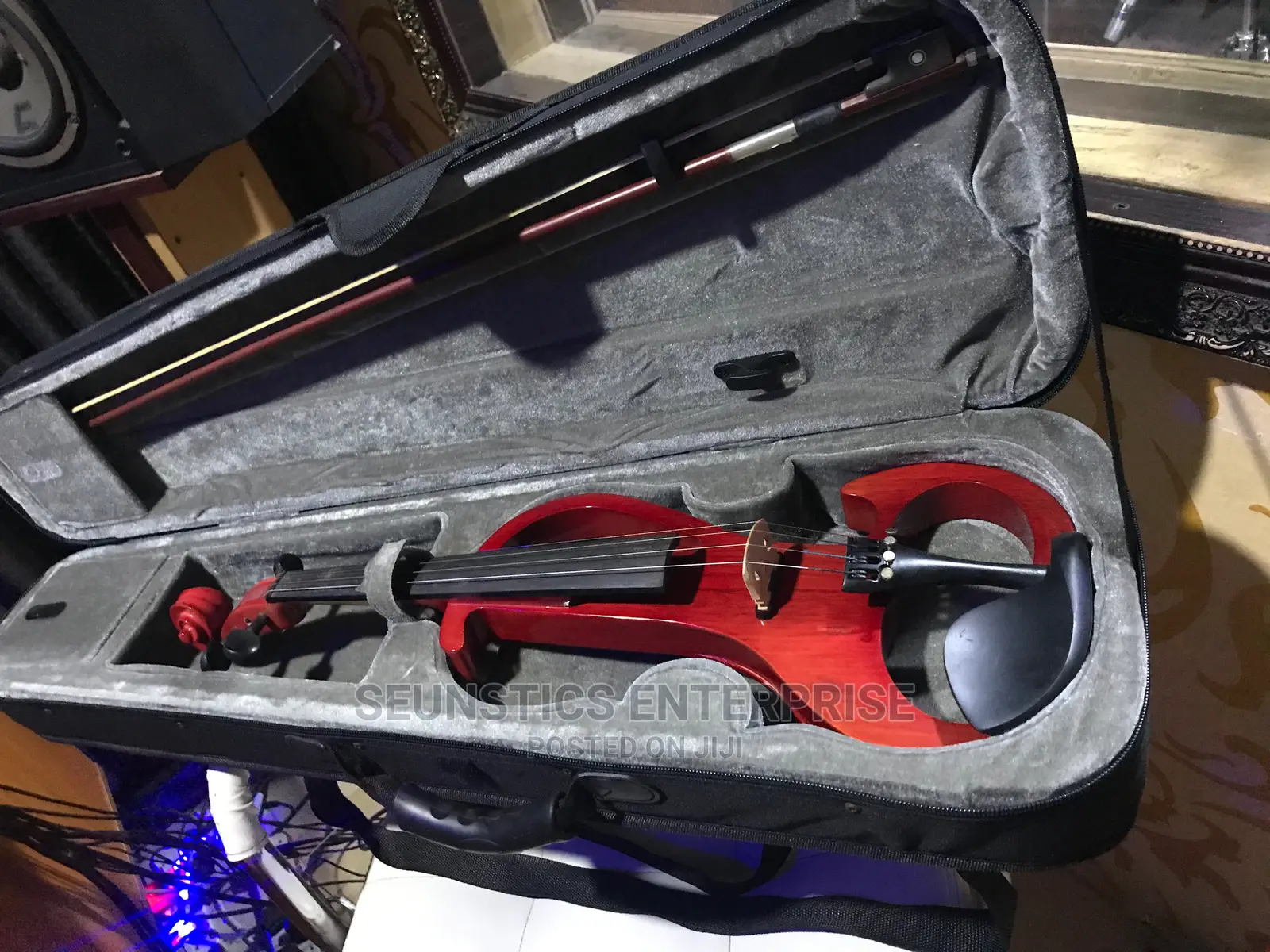 Professional Electric Violin