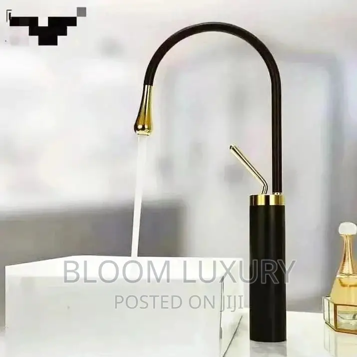 Black and Gold Countertop Faucet
