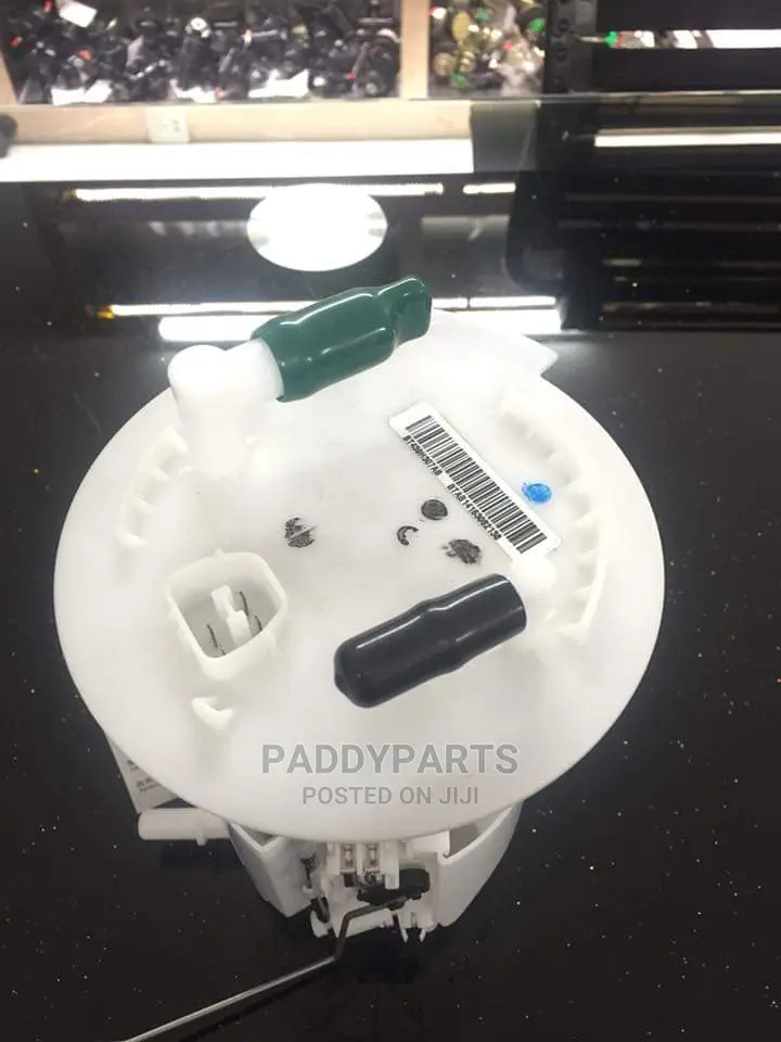 Ford Edge Fuel Pump (Complete)