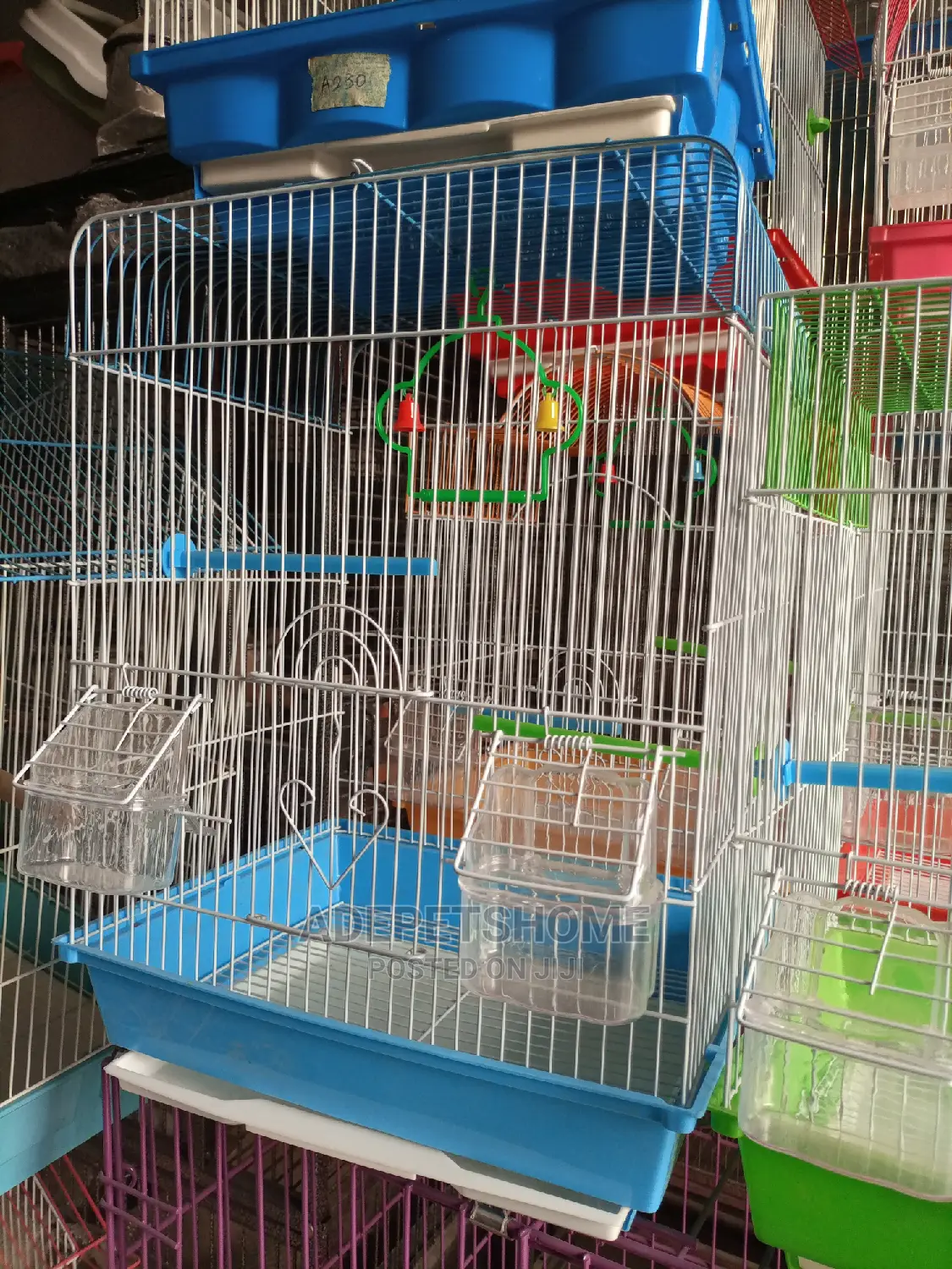 Beautiful Cages for Birds
