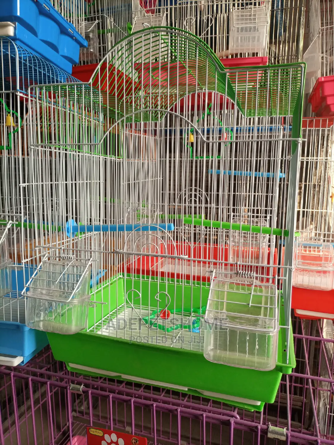 Beautiful Cages for Birds