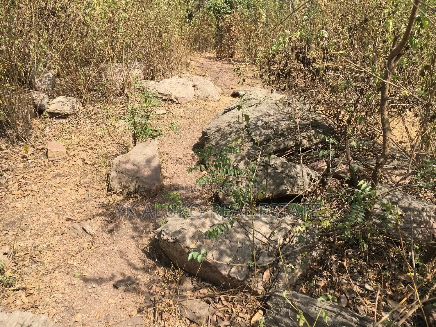 Hectares Of Land At Kwara State For Sale