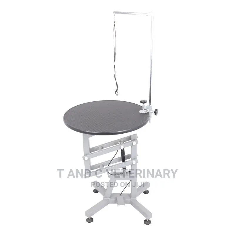 Pet Dog Airlift Grooming Table