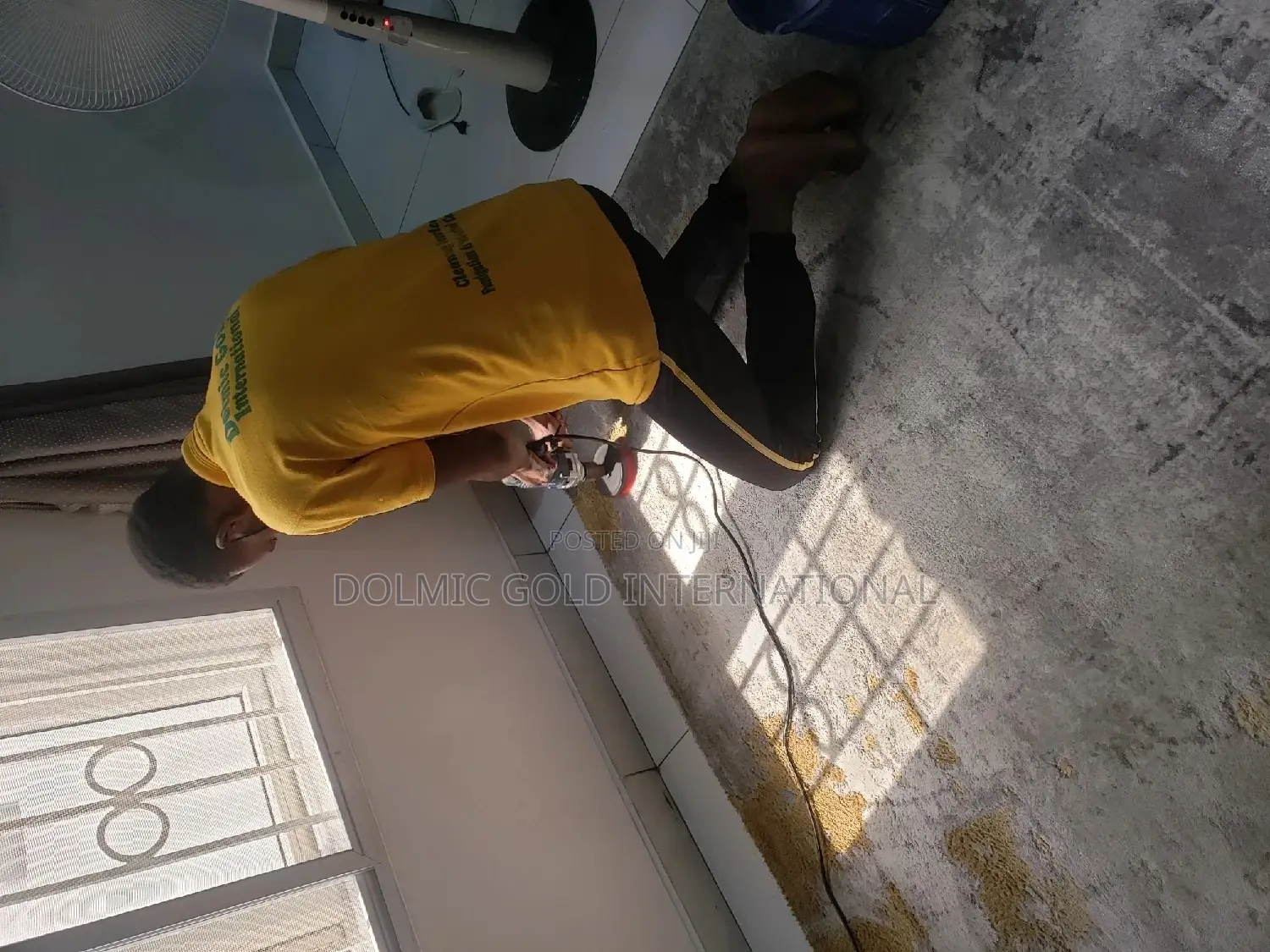 Carpet and Fabric Sofa Cleaning Services