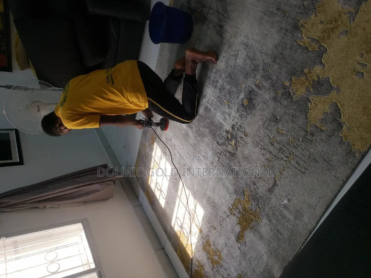 Fabric Upholstery and Carpet Cleaning