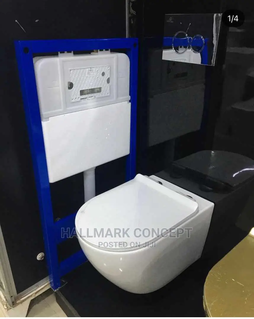 Executive Wall Mounted Water Closets.