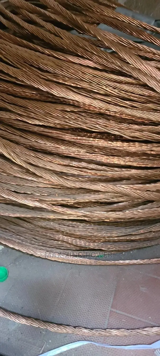 70mm Bear Copper Available at Affordable Price
