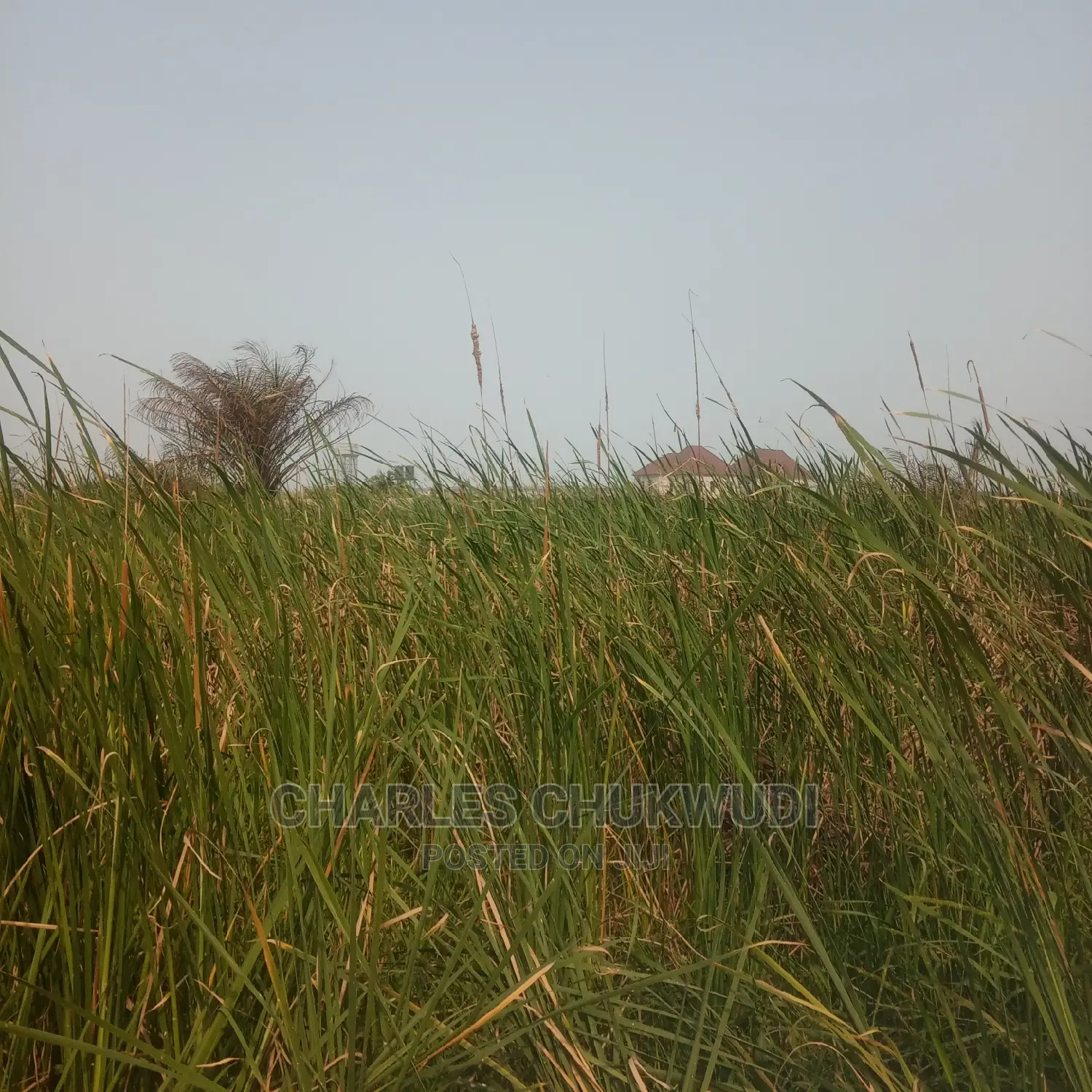 Plots of Land Beside Lekki Gardens Phase 2 Abraham Adasaya.