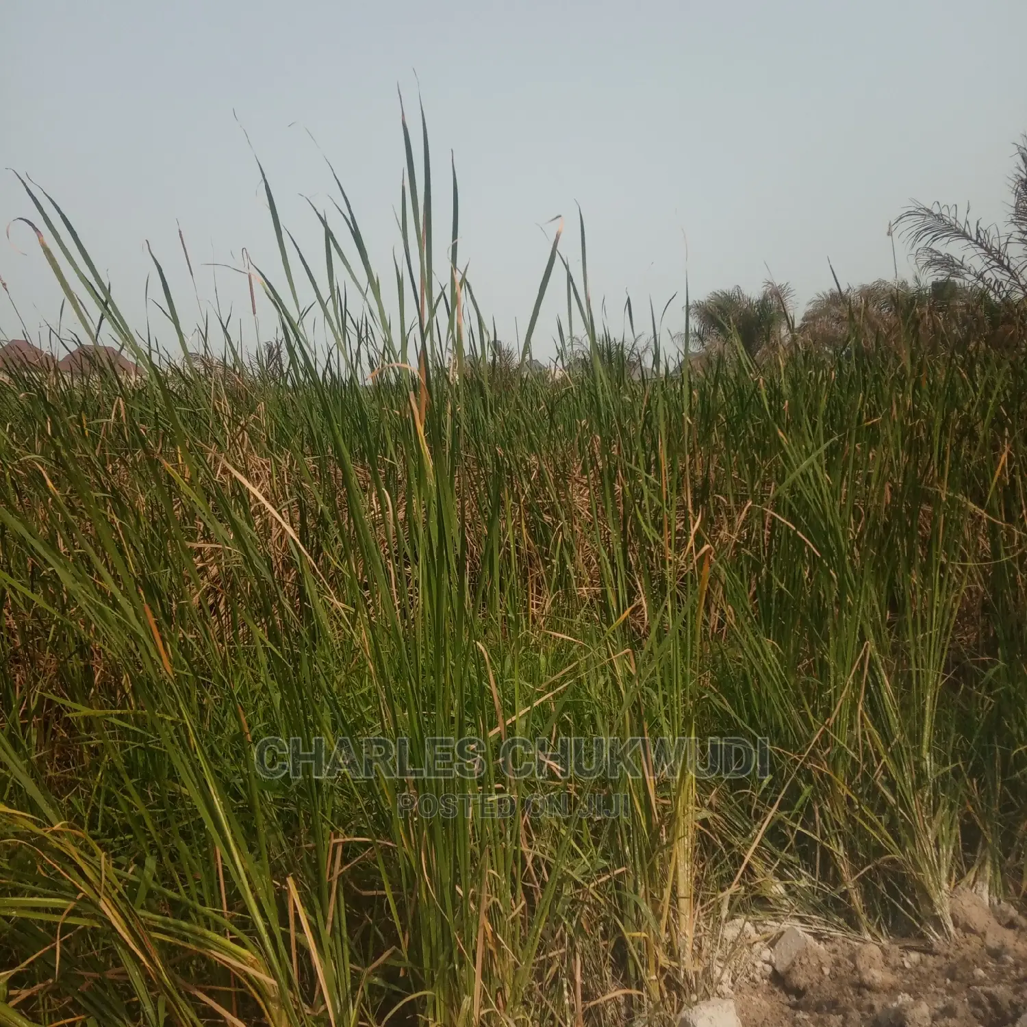 Plots of Land Beside Lekki Gardens Phase 2 Abraham Adasaya.