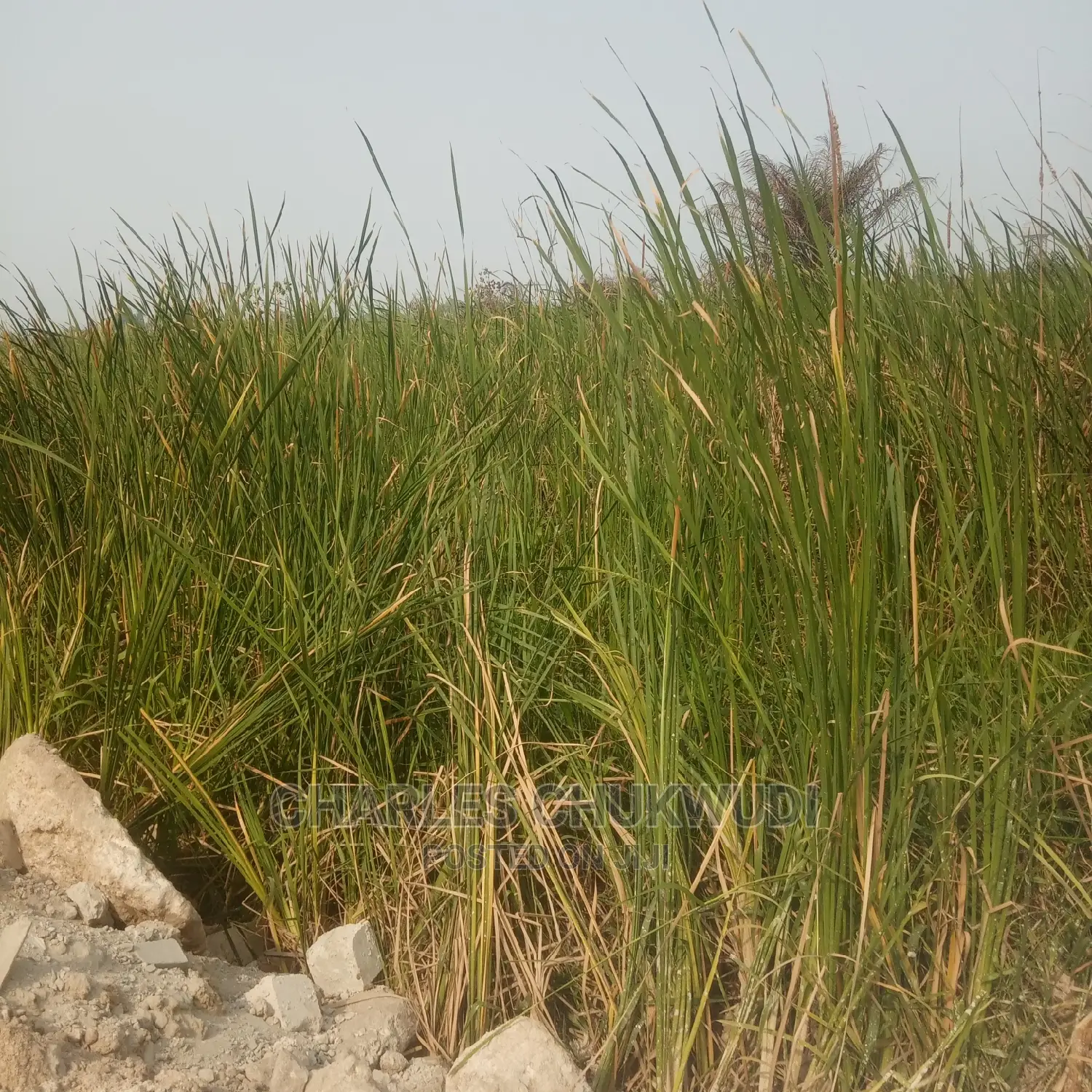 Plots of Land Beside Lekki Gardens Phase 2 Abraham Adasaya.