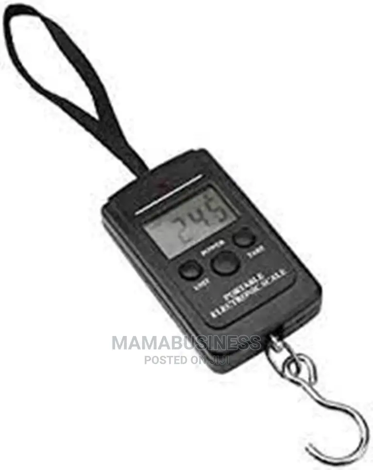 Potable Electronic Luggage Scale- 40kg/10g