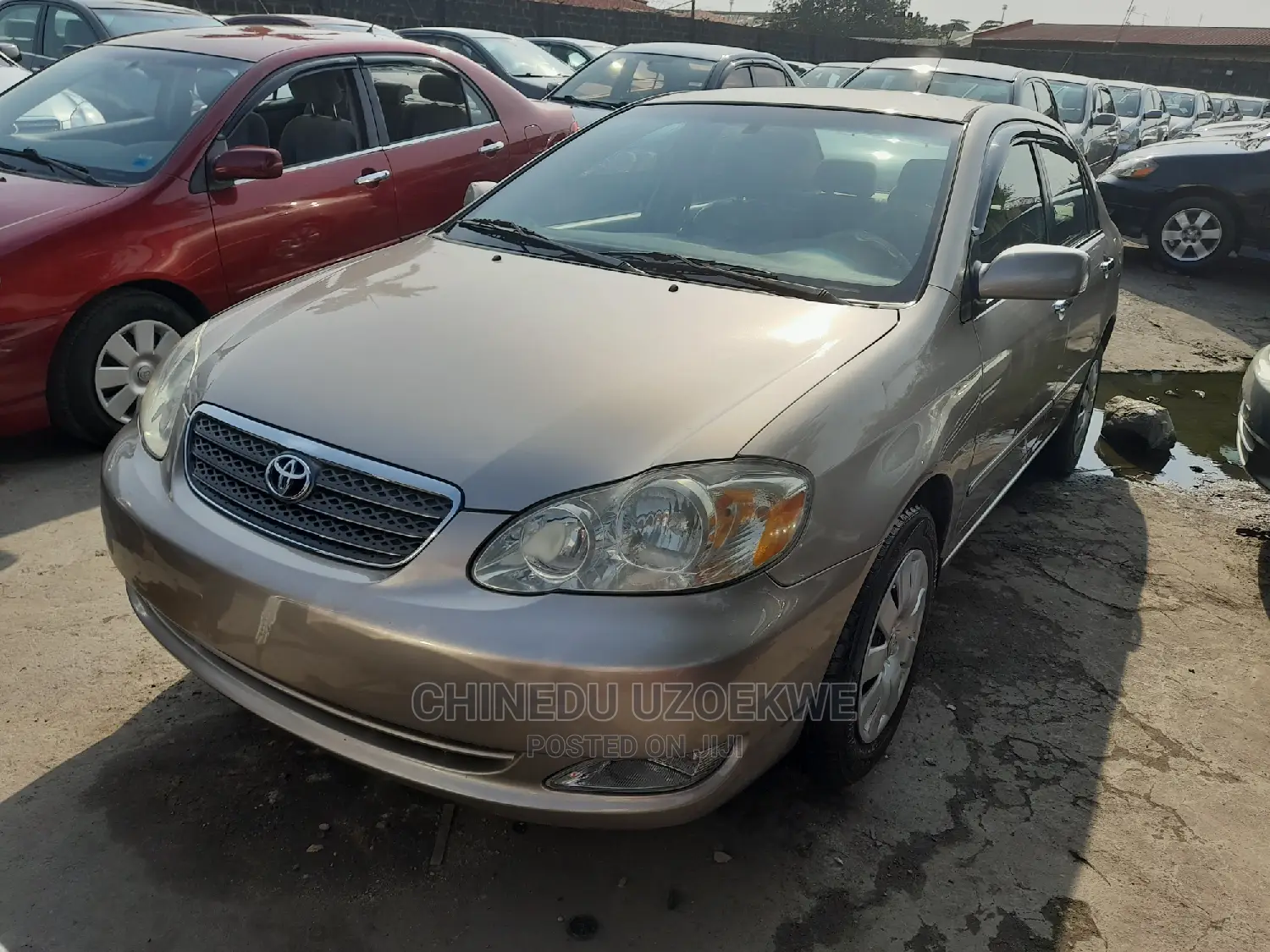 Toyota Corolla LE 2007 Gold
