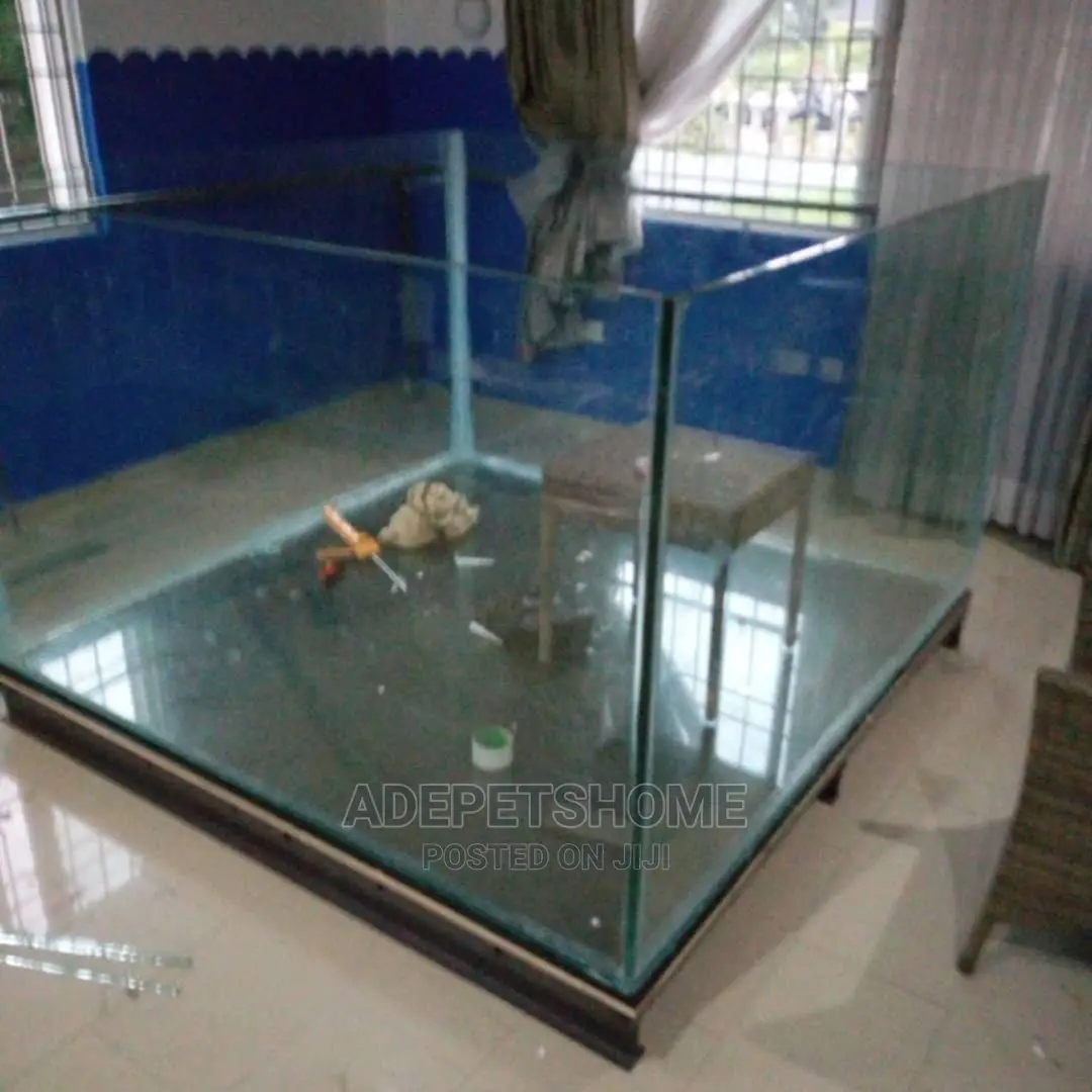 Nice Aquaria to Beautify Your Homes