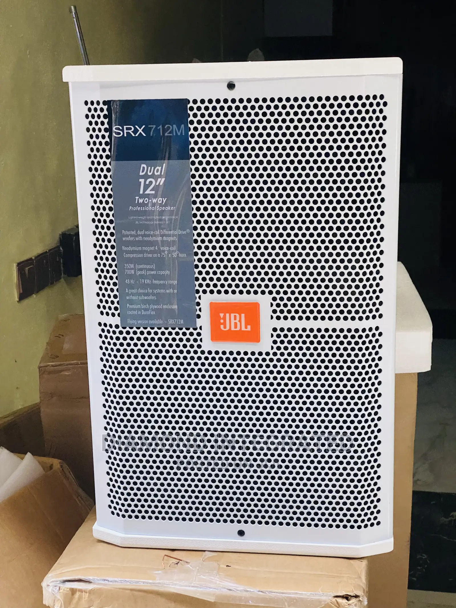 JBL Hanging Speaker 12 Inches