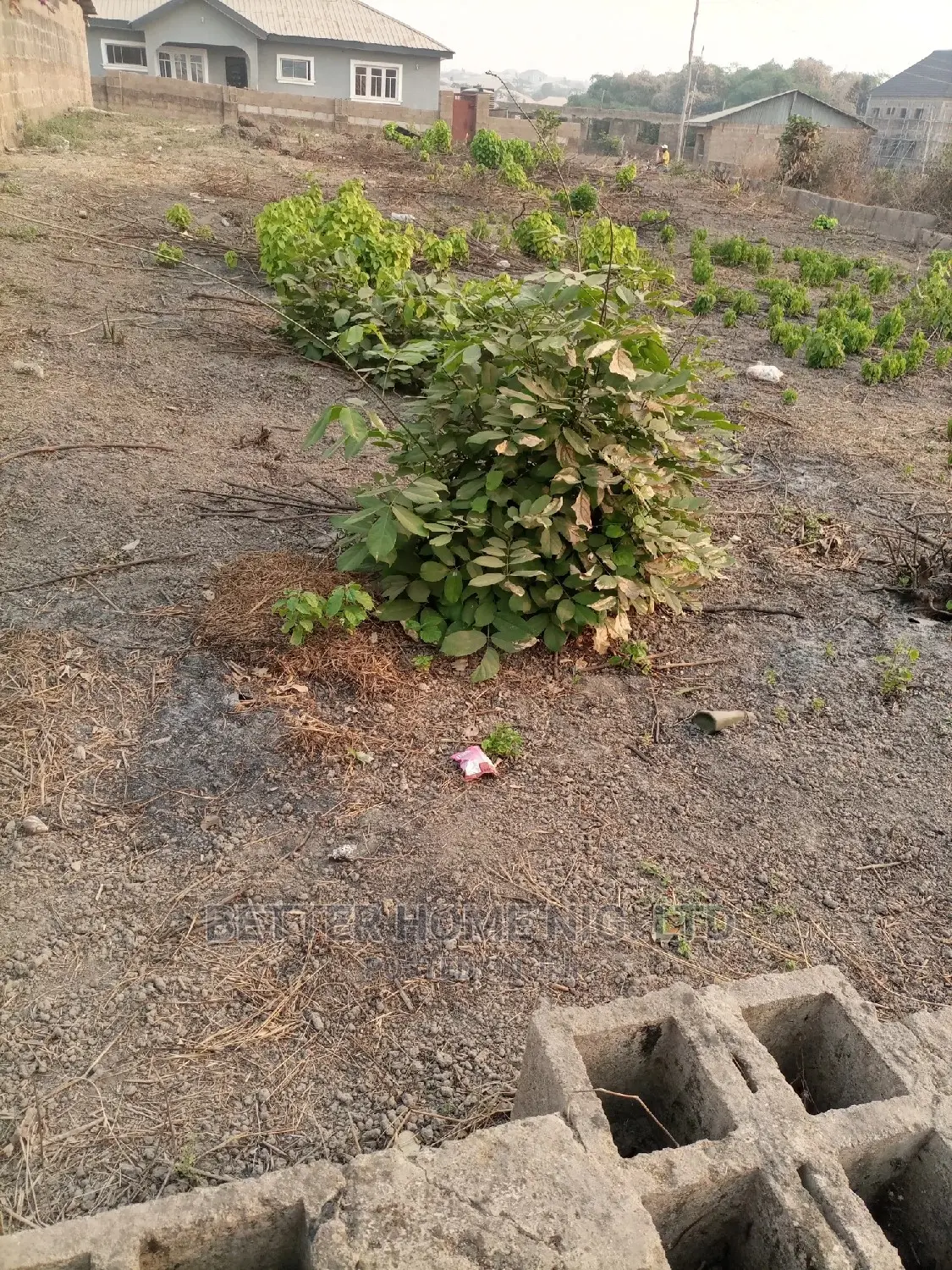 Full Old Standard Measure Plot of Land With Register Survey