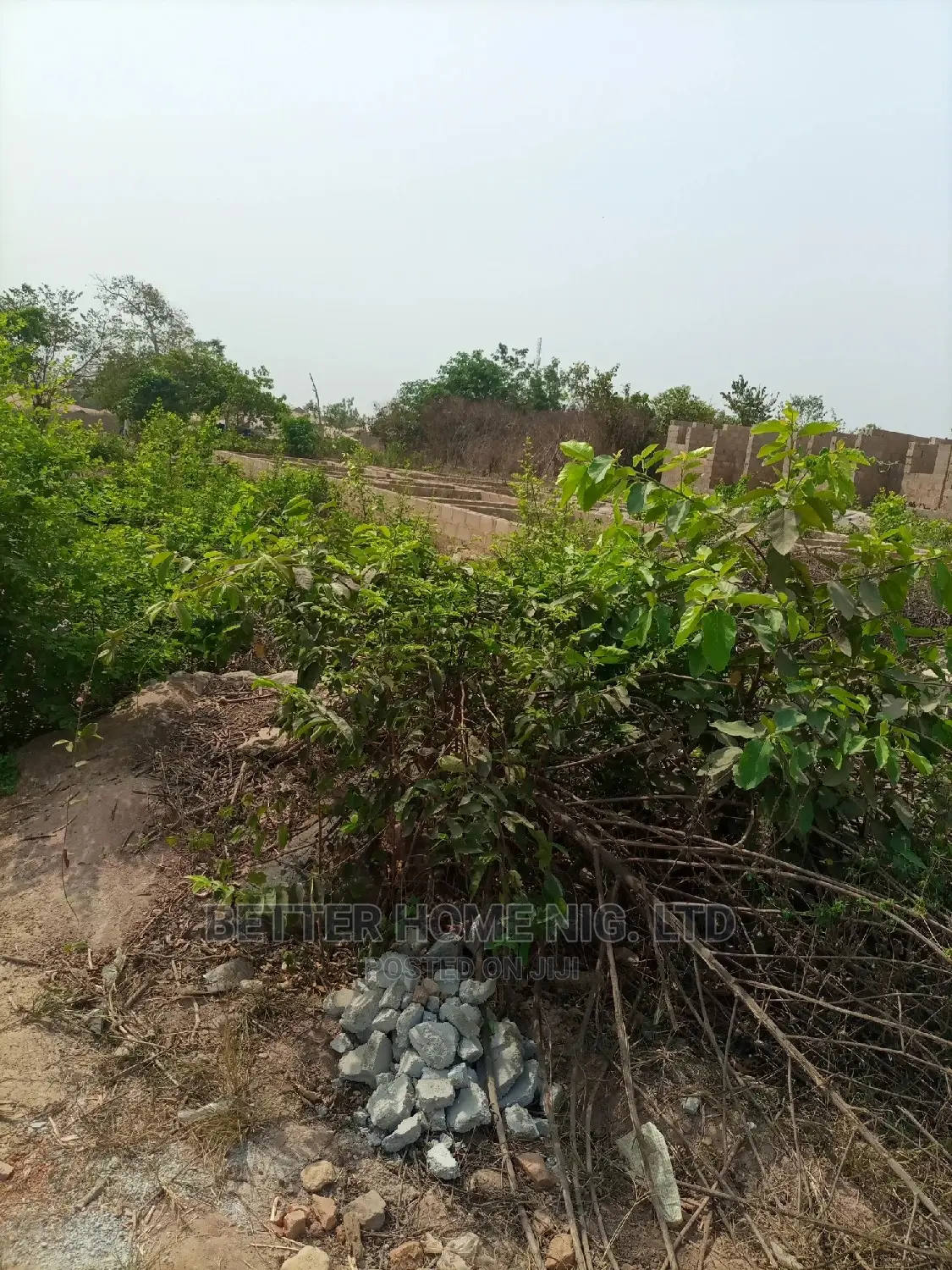 A Plot of Land With Register Survey and Agreement